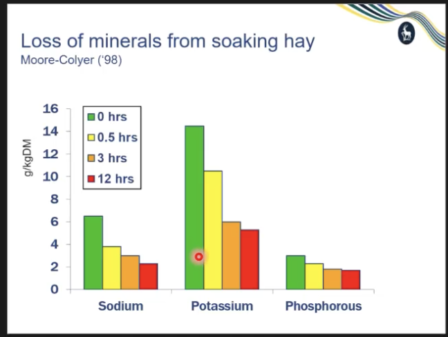 <p>you need to be careful how you feed the animal</p><p>e.g. soaking hay means you depleting/diluting the minerals from the hay so become undernourished</p><p></p><p>you can be overfed and undernourished</p><p></p><p>remember, nutrients have direct effects on genes</p><p>B vitamins - folate and B12 might be beneficial if high blood levels of homocysteine</p><p></p><p>increase in antioxidants decrease DNA methylation</p><p></p><p>micronutrients are just as important as calories</p>