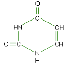 <p>What macromolecule is this?</p>