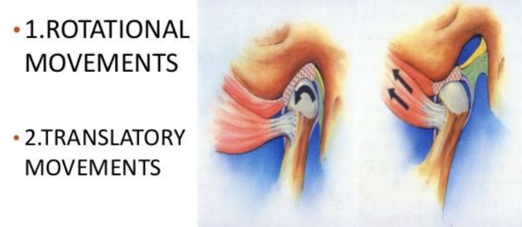 <p>accommodated by articular disc</p><ol><li><p>Rotate (hinging movement lower compartment), </p></li><li><p>translate (gliding movement upper compartment</p></li></ol><p></p>