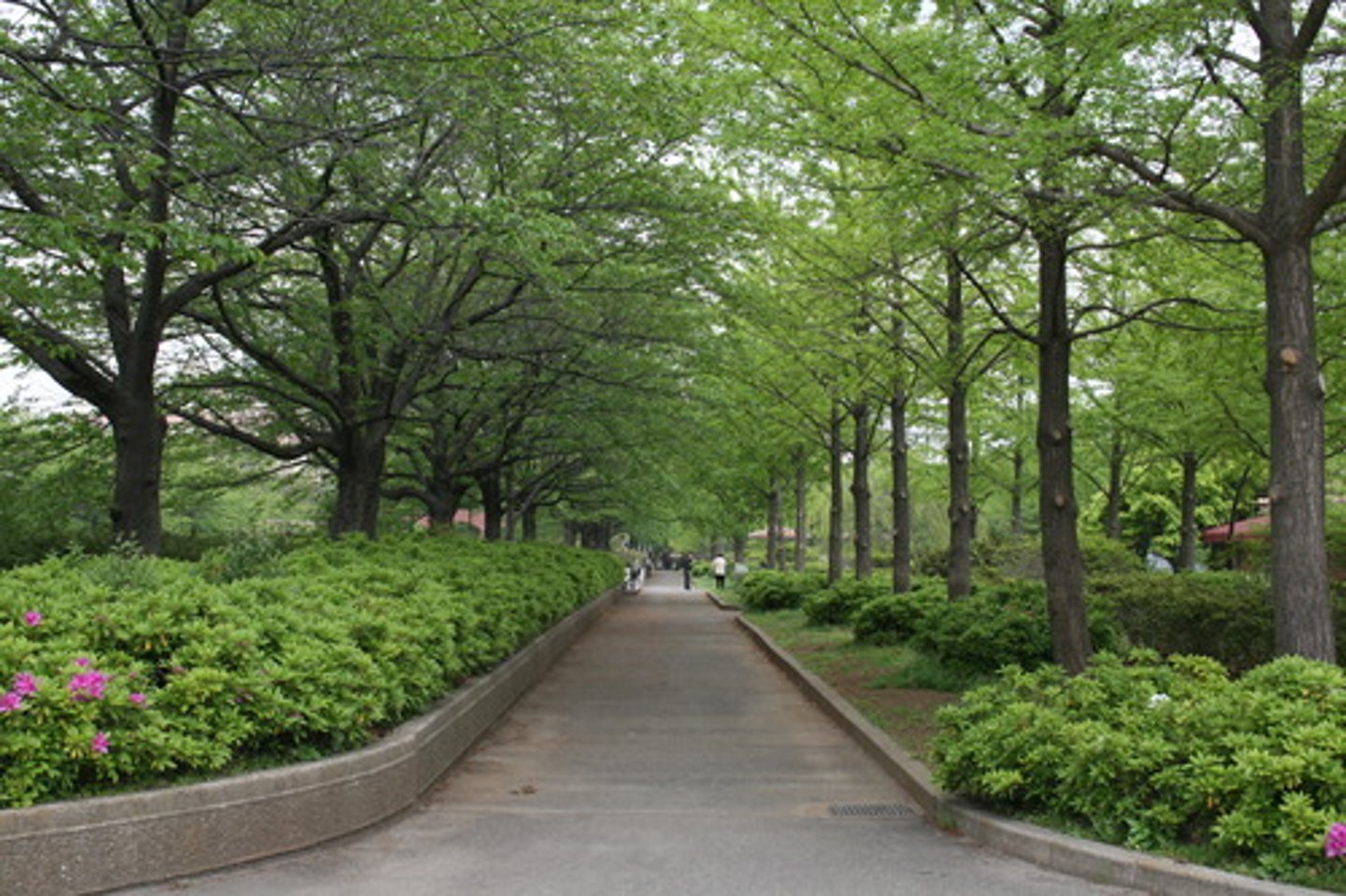 <p>park</p>