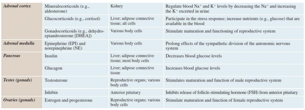<p>TAKE HOME MESSAGES HORMONES AND GLANDS 2</p>