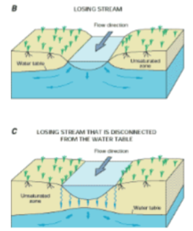 <p>surface water is lost from stream to groundwater (aquifer recharge)</p><ul><li><p>B saturated contact</p></li><li><p>C unsaturated contact</p></li></ul><p></p>