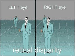 Clues about distance based on the differing views of the two eyes