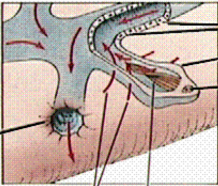 <p>What is this an image of?</p>