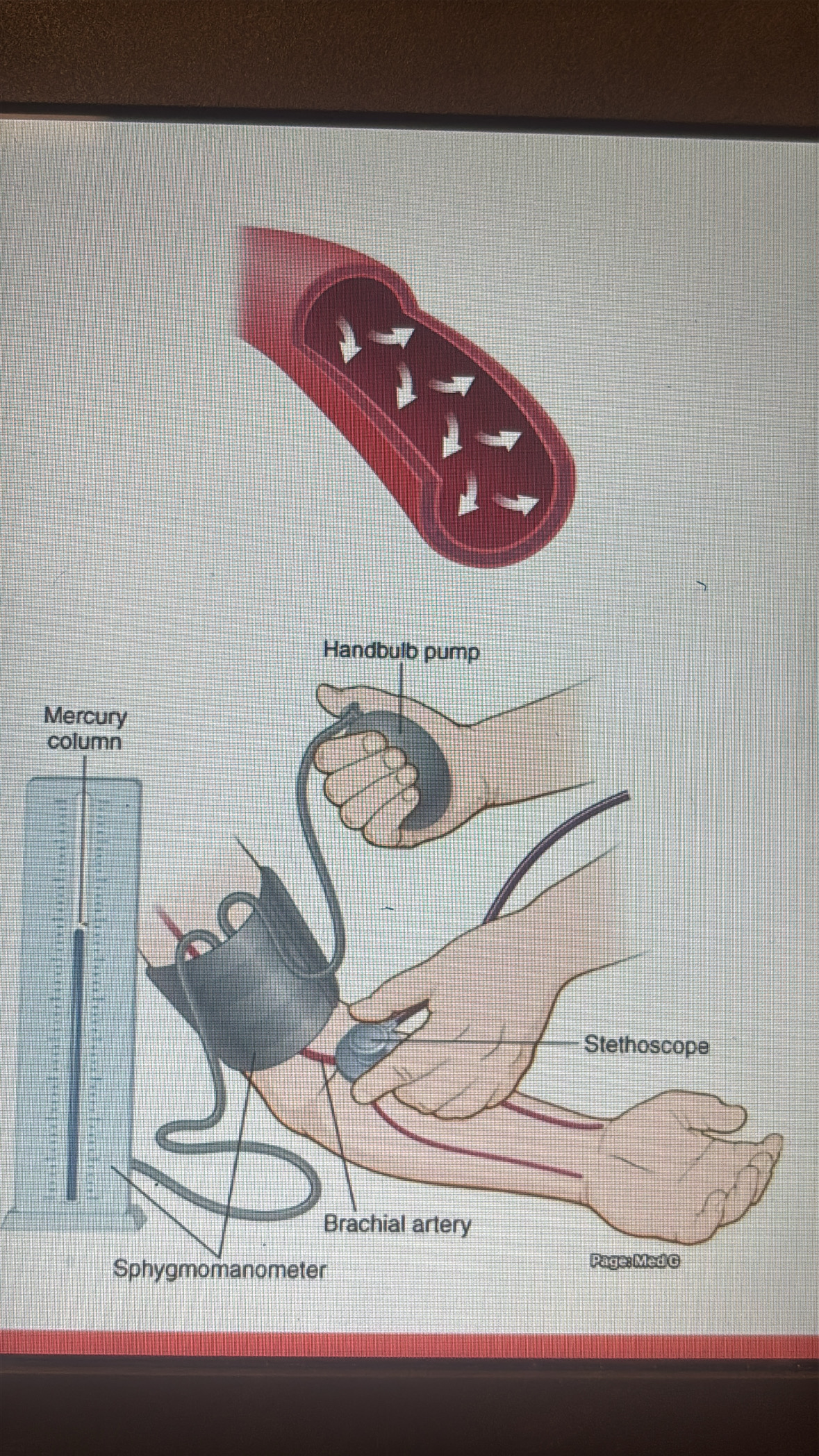 <p>the outwards force the blood exerts on the walls of blood vessels</p>