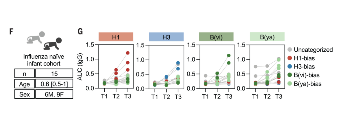 <p>examined Ab levels in  babies following immunization  who had not previously been immunized or infected → found that without previous exposure, still get bias in a naive population</p>