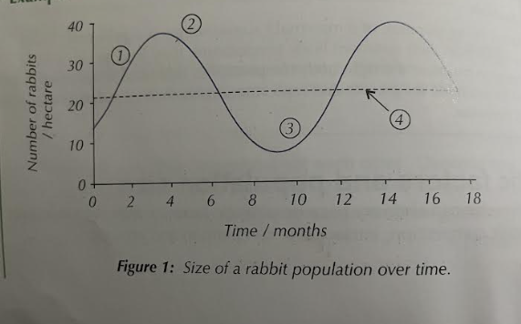 <p>Intraspecific competition graph</p><p>describe the changes </p>