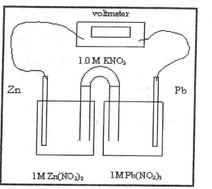 <p>What is Zn in this picture</p>