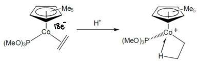 <ul><li><p>The J<sub>13C-H</sub> coupling in a CH3 would normally be around 130 Hz, whereas in this complex it is around 61 Hz due to stabilisation.</p></li></ul><p></p>