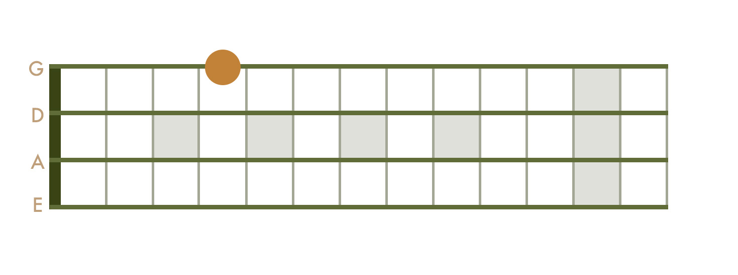 <p>4th Fret - G String</p>