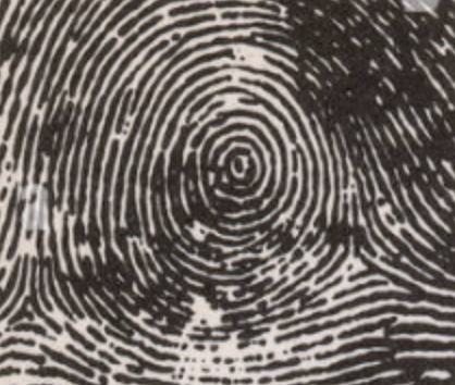 <p>what is this fingerprint</p>