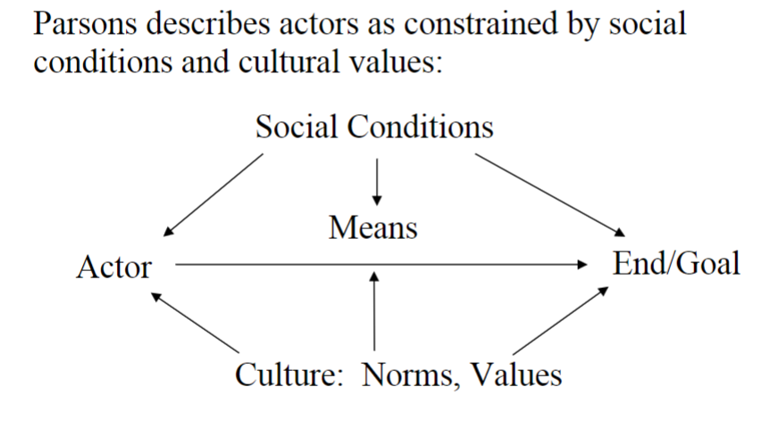 <p>actors are constrained by social conditions and cultural values</p><ul><li><p>social conditions affect actors, means, and goals</p></li><li><p>culture (norms, values) affect actors, means, and goals</p></li></ul><p>acts are not individual; they are very social</p>