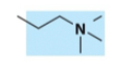 <p>What is the name, category, and net charge of this lipid?</p>