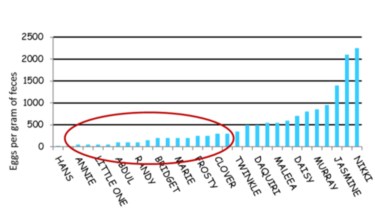 <p>What does this graph of fecal egg count distribution indicate about the parasite population infecting the herd of goats?</p>