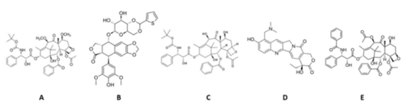 <p>Which are taxane mitosis inhibitors? (select all that apply)</p>