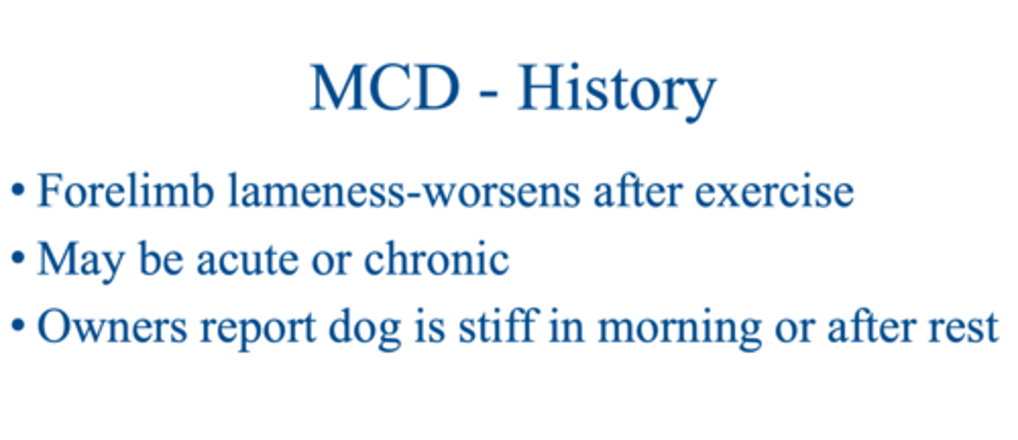 <p>signalment of medial compartment disease (MCD)</p>