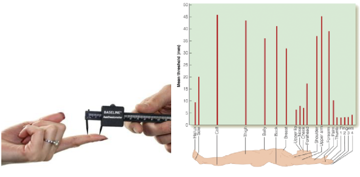 <p>A measure of tactile acuity that indicates the smallest distance between two points that can be perceived as separate.</p><ul><li><p>measuring with an “aesthesiometer” where you can adjust the two points where it ends up feeling like one point instead of 2 and can measure how close or far apart it has to be to still be able to tell its 2 points</p></li><li><p>Have really small two point threshold for fingers but compared to the arm the threshold number is much higher so it’s harder to detect if its two or one points</p></li><li><p>This relies on the Merkel receptors (SA1) because of the amount of these receptors in a certain space</p></li></ul><p></p>