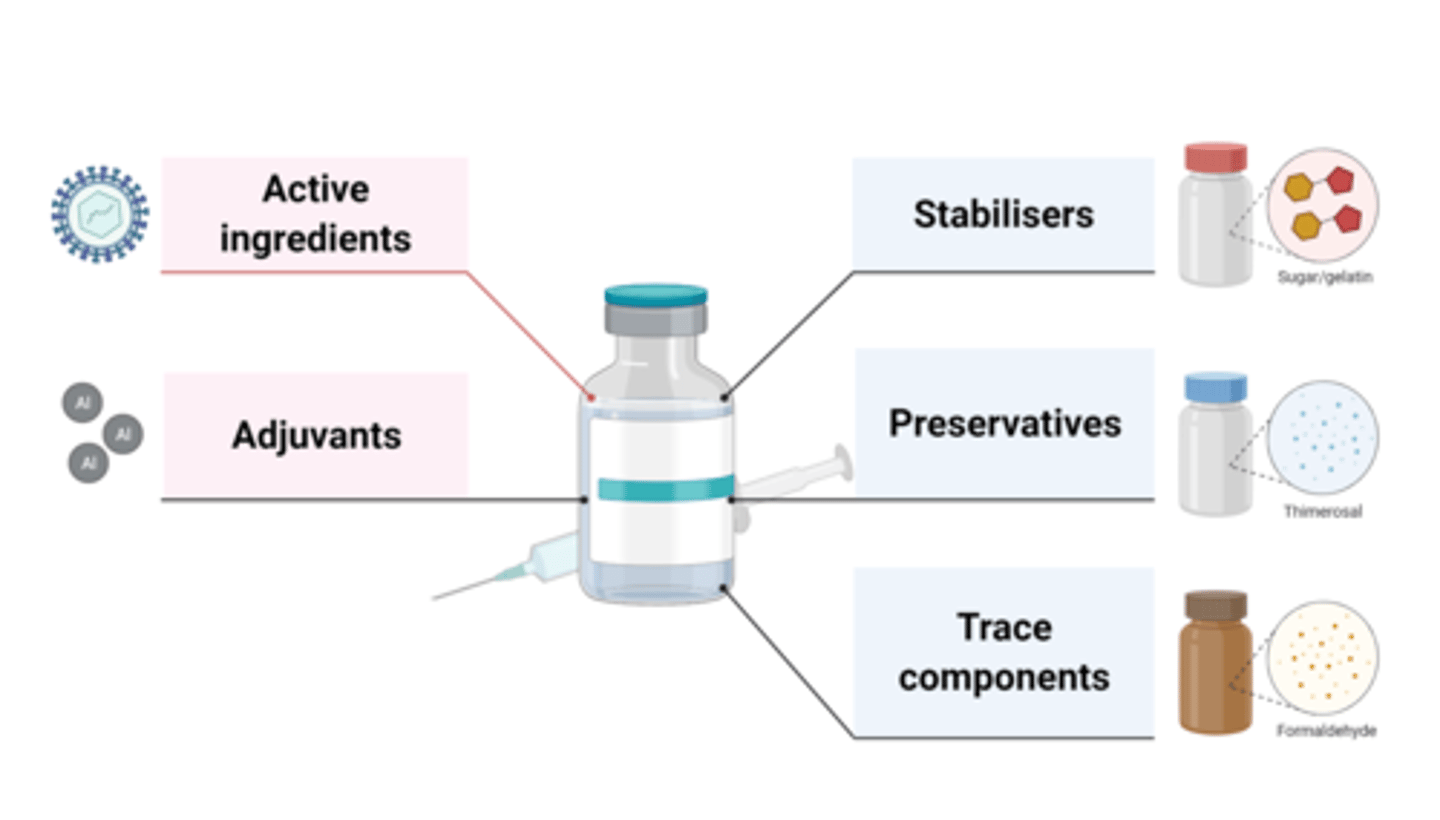 <p>- active ingredients</p><p>- adjuvants</p><p>- stabilisers</p><p>- preservatives</p><p>- trace components</p>