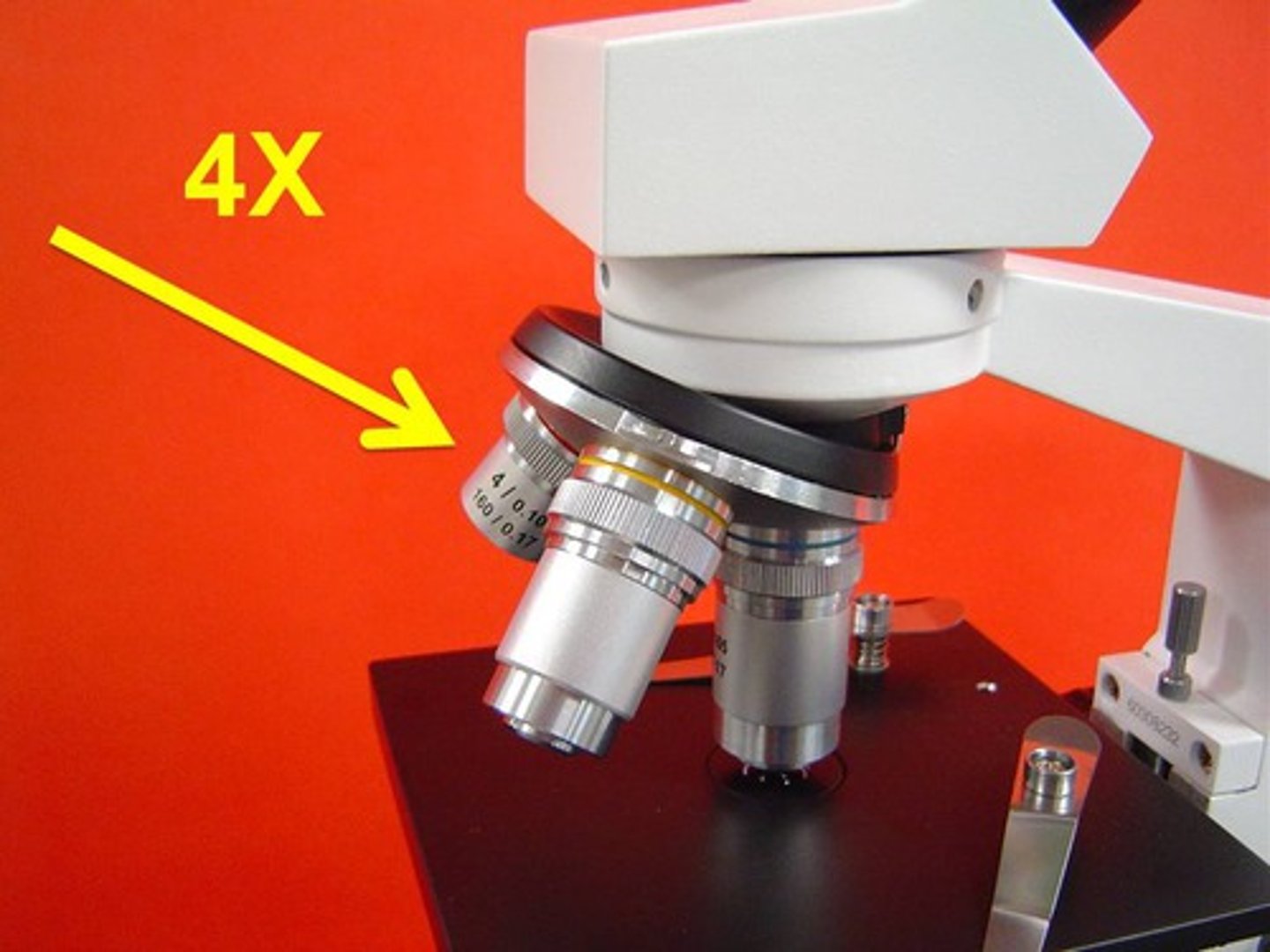 <p>4x magnification.</p>