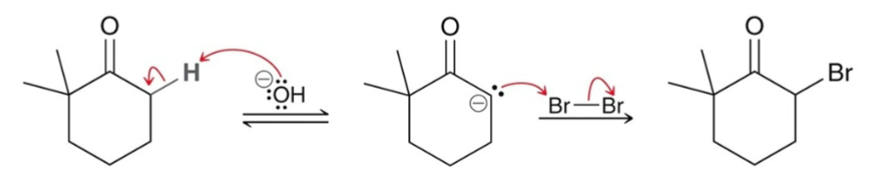 <ul><li><p>Under basic conditions, an enolates is the reactive intermediate .</p></li><li><p>Mechanism:</p></li></ul><p></p>