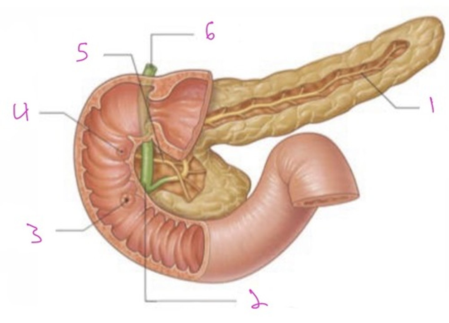 <p>What is number 6?</p>