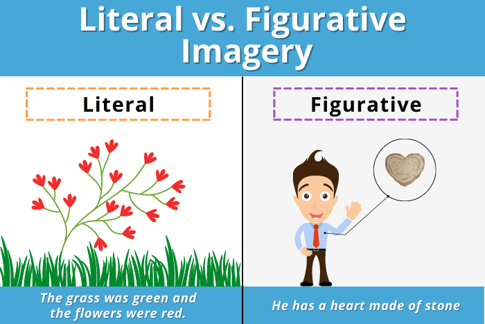 <p>Words that are used to make us see, hear, smell or taste.</p>