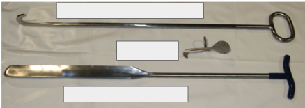 <p>Subcutaneous foetotomy</p><p>What are these?</p>