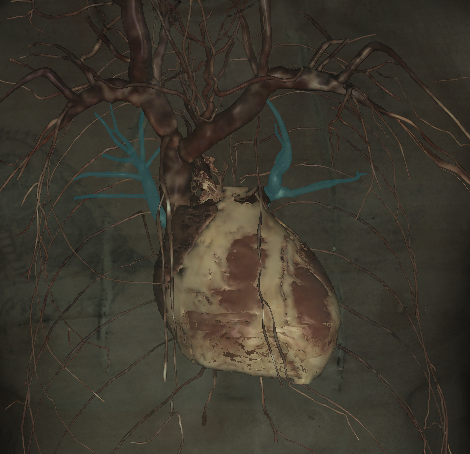 <p>Name the structures highlighted </p>