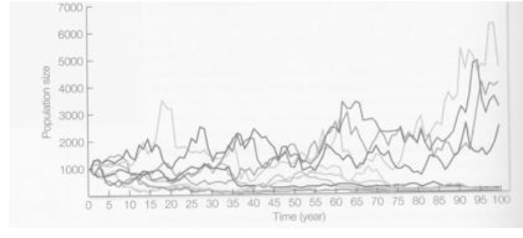 * PVA used to estimate minium viable population size and minimum dynamic area
* PVA is analogous to a risk assessment; its goal is to estimate the probability that a population will go extinct at some point in the future 
* PVA has 2 requirements
  * an estimate of current population size, and
  * a model for estimating how the population will change over time 

\
example

* imagine a population of 100 animals whose basic demographic parameteres have been studied for the past 30 years 
* population growth rate has been estimated each year as 
  * λ= Nt+1 / Nt where Nt is population size in any year and Nt+1 is population size the next year.
* We can now plot a distribution of estimates of λ, which will assume to be normal. \n 
* We will use a simple geometric population growth model to predict population size each year for 50 years:
  * Nt+1 = λ Nt \n 
* After 50 years, we will evaluate whether the remaining population is viable.

\
* Begin modeling by multiplying the initial population size (100) by a randomly chosen value of λ from the distribution generated from 30 years of monitoring data (this accounts for stochasticity). If the randomly chosen value of λ is 1.1, our estimate of population size after 1 year is 110 animals (i.e. 100 x 1.1). Repeating the process for year 2, we multiply the new population size by another randomly chosen estimate of λ (say 0.9). Our new population size is 110 x 0.9 = 99. This is \n repeated 50 times to generate our estimate of population size after 50 years. Are there any animals left after 50 years? Is this a viable population? \n 
* This process is repeated many times (often thousands of times). If we repeat 1000 times, we generate 1000 simulations of the population size after 50 years which are used to estimate the probability of extinction. If the population goes to zero (extinction) in 100 simulations, we conclude the probability of population extinction is 10 percent over 50 years (or the probability of population persistence is 90 percent over 50 years).