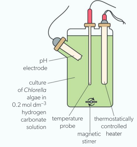 <p>measuring photosynthesis: temperature </p>