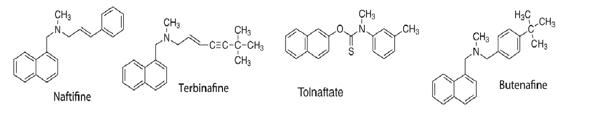 <p>allylamines: naftifine/terbinafine; butenafine: phenyl ring</p>