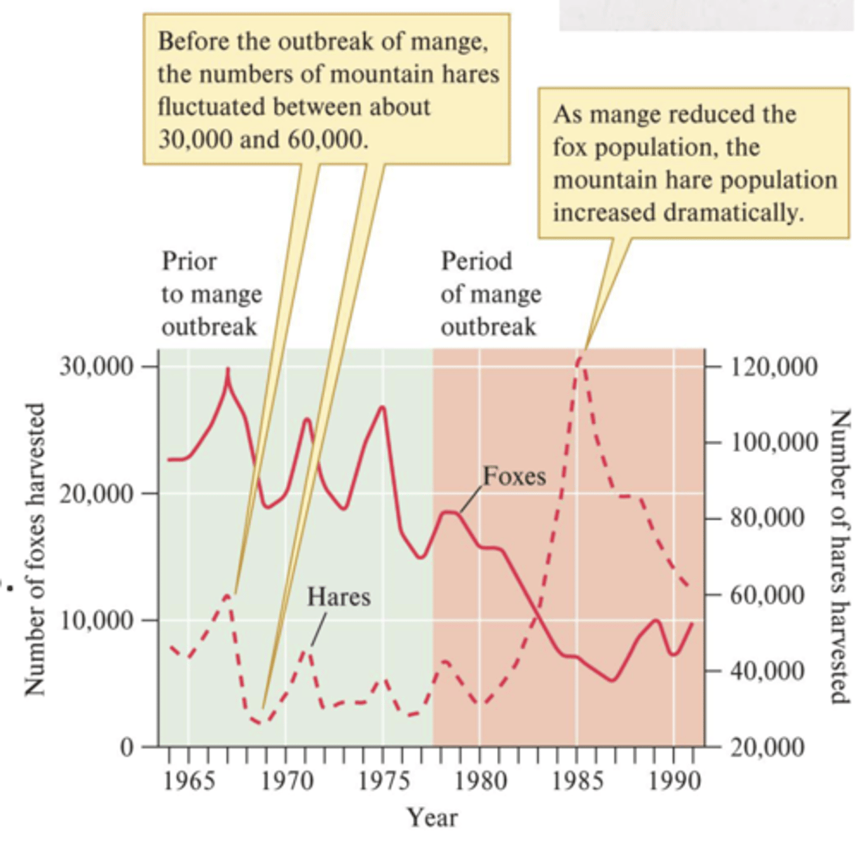 <p>- Mange mites cause hair loss, deterioration, and death in dogs and foxes</p><p>- Fox populations declined by 70%</p><p>- As a result: the number of mountain hares, a prey species, increased 2 to 4 times</p>