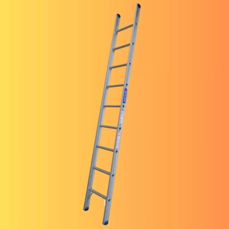 <p>(n) - /ˈlædə/ </p><p>thang</p>