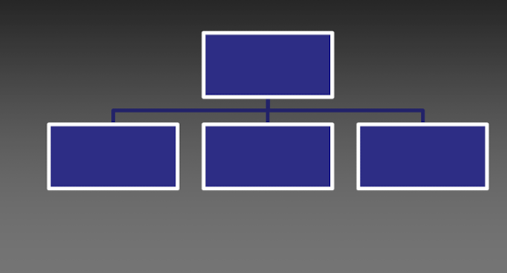 <ul><li><p>They illustrate relationships among units and lines of authority among supervisors</p></li><li><p>Typically use labeled boxes and connecting lines</p></li></ul><p></p>