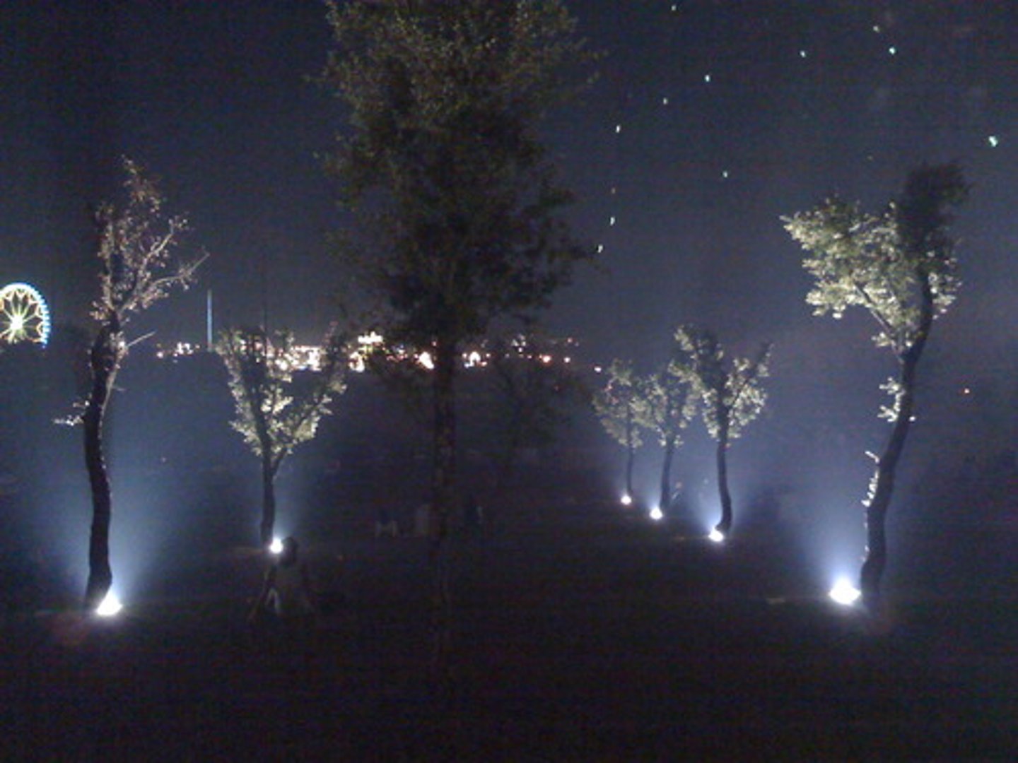 <p>It's misty</p>