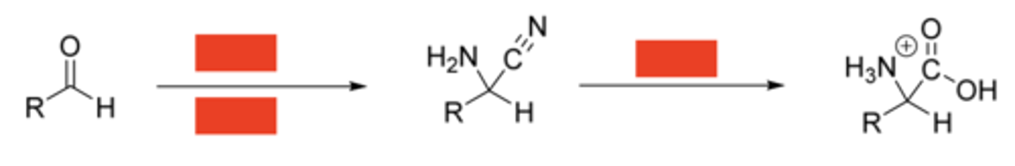 <p>***What is the name of this reaction and what are the reagents?</p>
