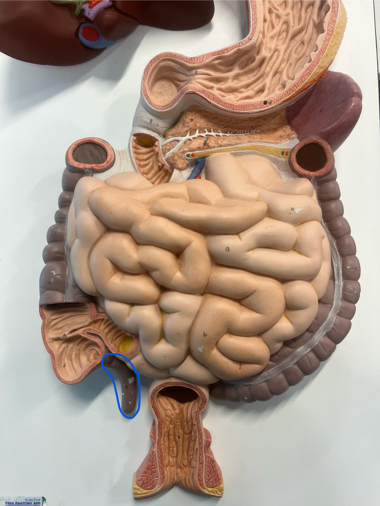 <p>what is this?</p>