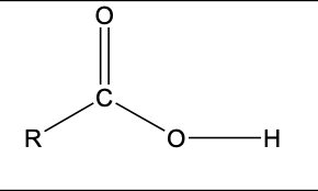 <p>R-COOH</p>