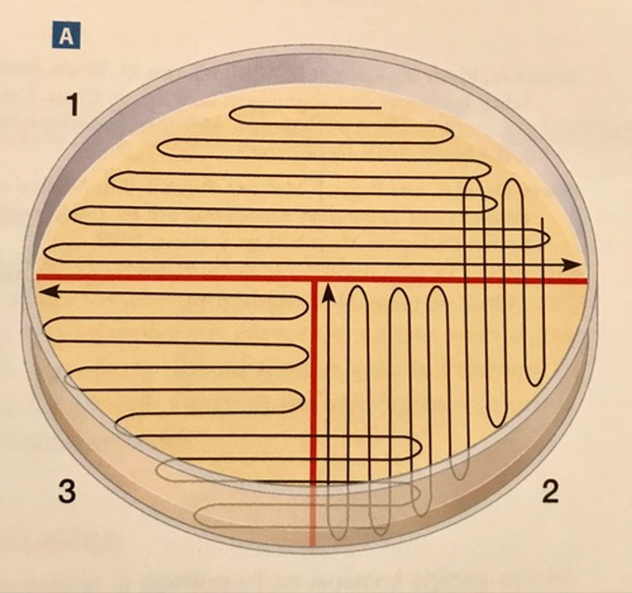 <p>What is this method called?</p>