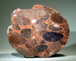 <p>conglomerate</p>