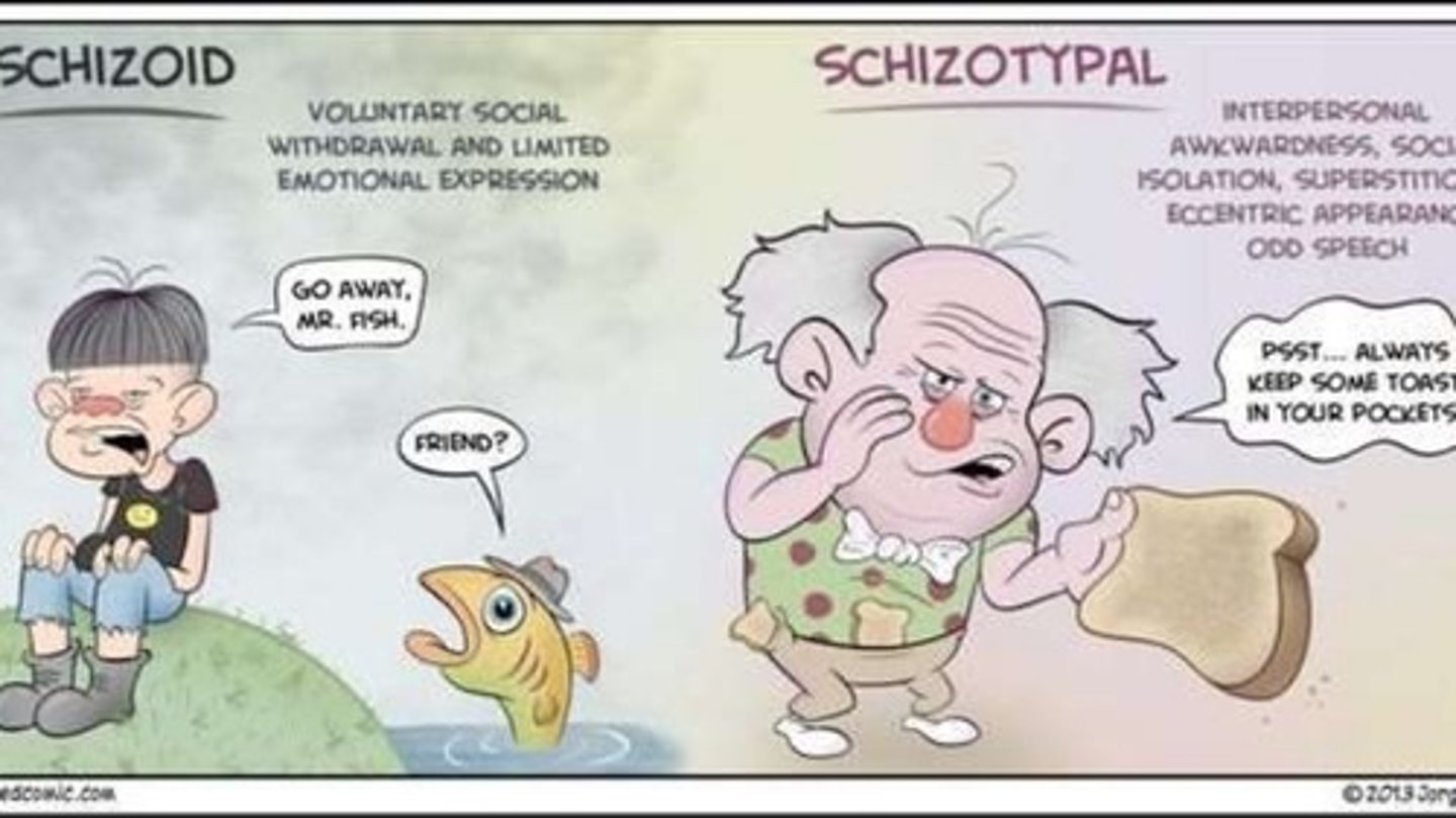<p>Both Schizotypal and Schizoid Personality Disorders are part of the "Odd and Eccentric" Cluster.</p><p>Schizoid Personality Disorder is characterized by emotional detachment, whereas Schizotypal personality disorder will both avoid close relationships AND hold magical/odd beliefs.</p>