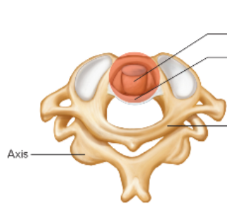 <p>What is this image an example of? </p>