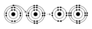 <p></p><p>What results from the chemical reaction illustrated above? The reactants have no charge.</p><ol><li><p>a cation with a net charge of +1 and an anion with a net charge of +1</p></li><li><p>a cation with a net charge of -1 and an anion with a net charge of +1</p></li><li><p>a cation with a net charge of -1 and an anion with a net charge of -1</p></li><li><p>a cation with a net charge of +1 and an anion with a net charge of -1</p></li></ol><p></p>
