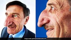 <p><strong>a large nose:</strong></p><p><br></p>