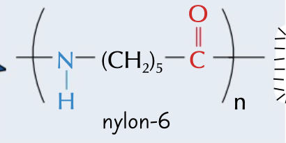 <p>nylon made from monomers coating an amide and carboxylic acid which can react with themselves</p><p>named by nylon-x where x I the number of carbon atoms in the monomer</p>