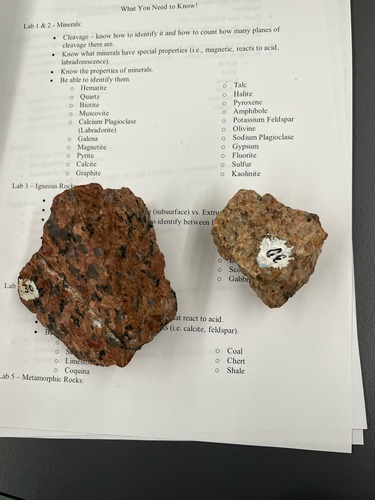 <ul><li><p>Phaneritic/crystalline</p></li><li><p>Felsic </p></li><li><p>Intrusive</p></li><li><p>Red and black grains</p></li><li><p>very coarse </p></li></ul>