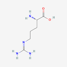 <p>arginine (arg)</p>