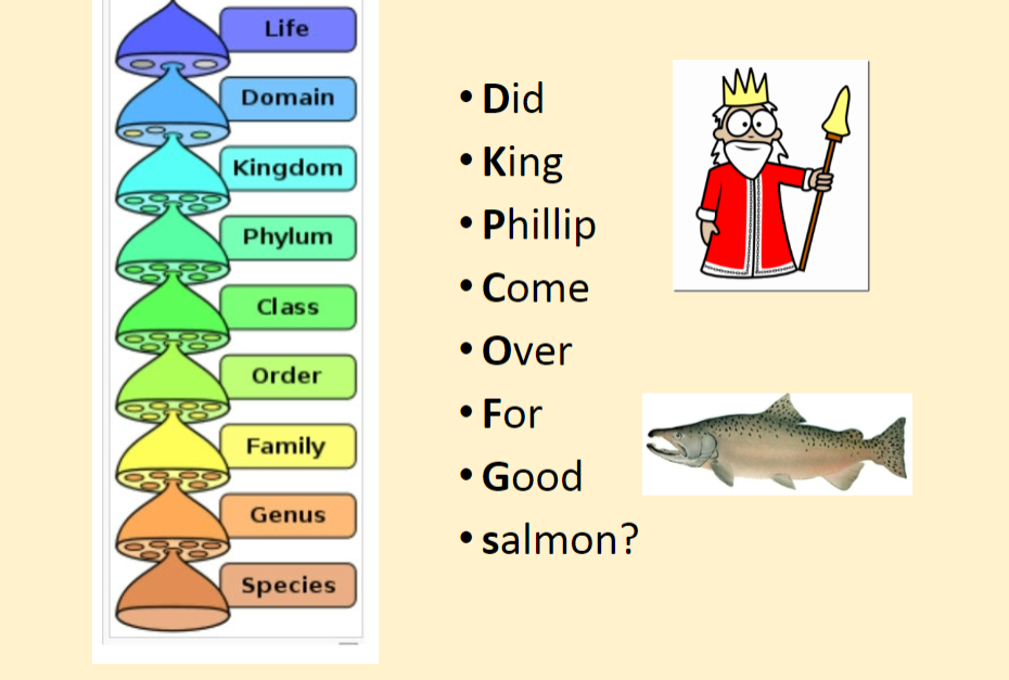 Practical Exam for Bio Lab Flashcards Knowt