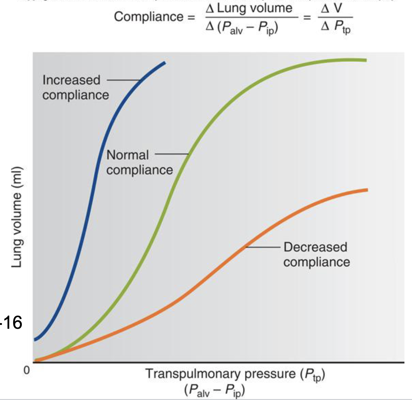 <ul><li><p>the change in pressure is needed to inflate the lungs to a certain volume</p></li><li><p>lung tissue matrix is a weave of elastin and collagen fibers </p></li><li><p>lungs that are more compliant are&nbsp;“stretchier” - it takes low pressure to inflate them</p><ul><li><p>stiff lungs cause restrictive lung disease</p></li><li><p>emphysema destroys the weave (easy to stretch out, hard to recoil)</p></li></ul></li></ul><p></p>