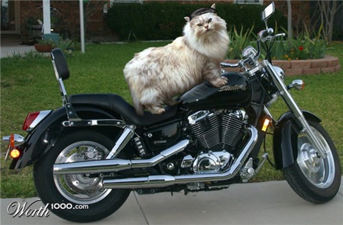 <p>to go by motorcycle</p>
